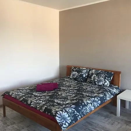 Cat Garden Deluxe ריגה