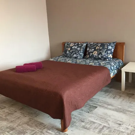 Cat Garden Deluxe ריגה