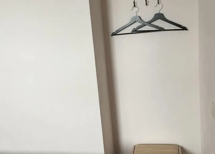 Cat Garden Deluxe Riga