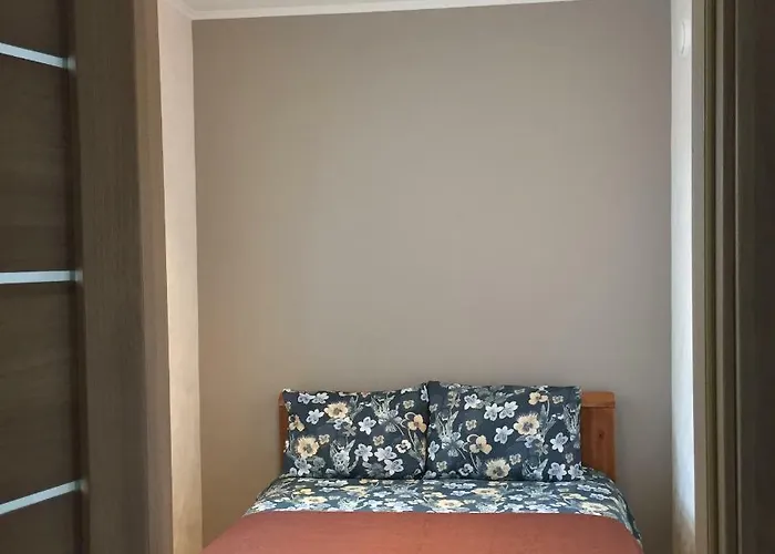 Cat Garden Deluxe * Riga