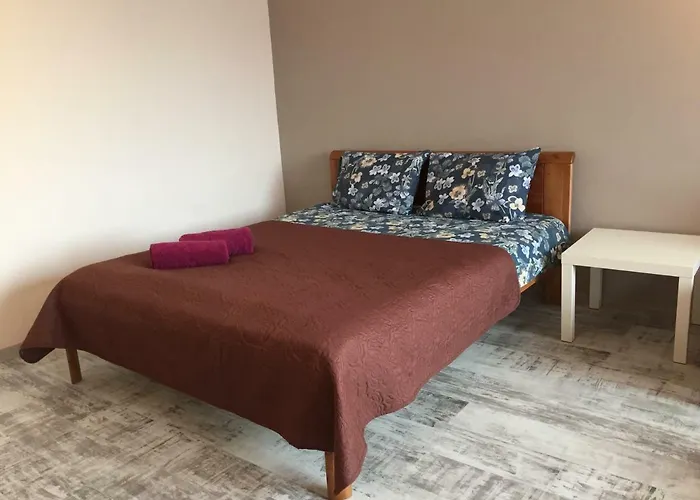 Cat Garden Deluxe Riga