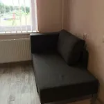 Cat Garden Deluxe